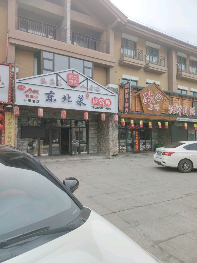王记东北菜铁锅炖