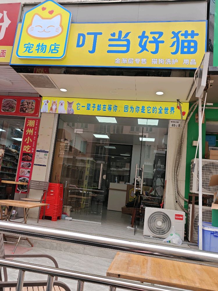 叮当好猫宠物店