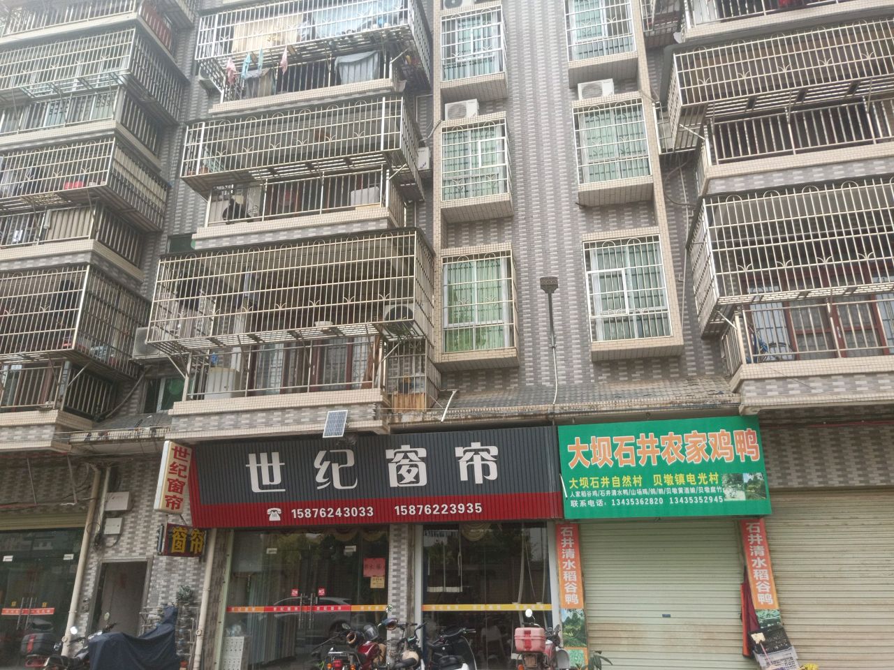 大坝石井农家鸡鸭