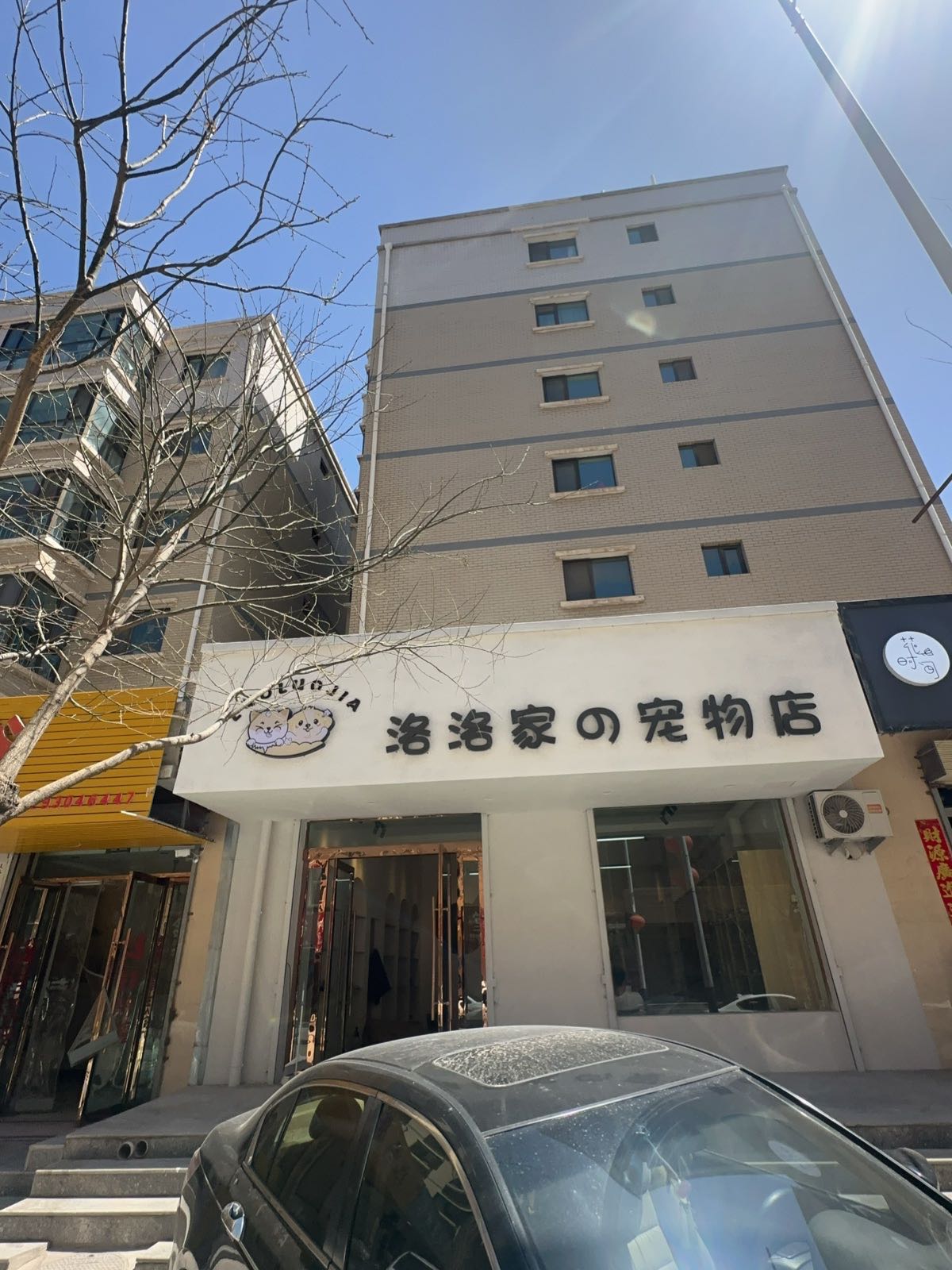 洛洛家的宠物店