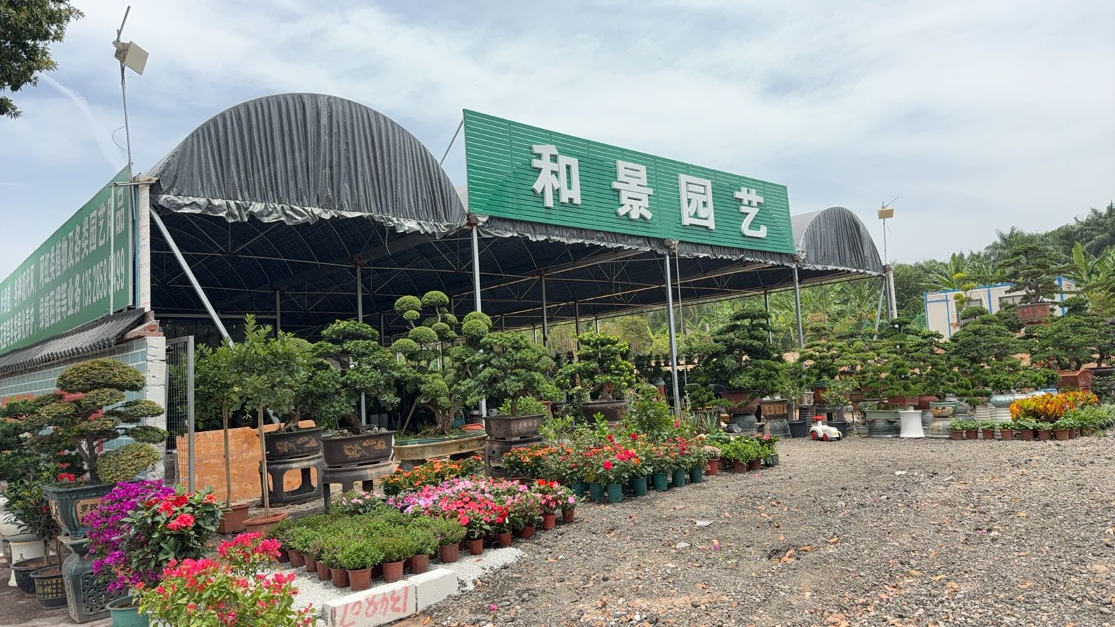 和景园艺园林绿化花店