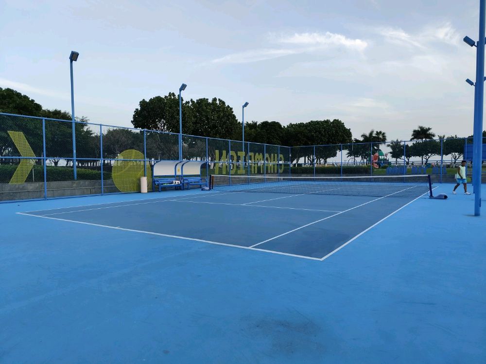 海岸公园网球场