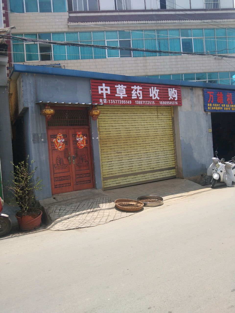 中草药收购