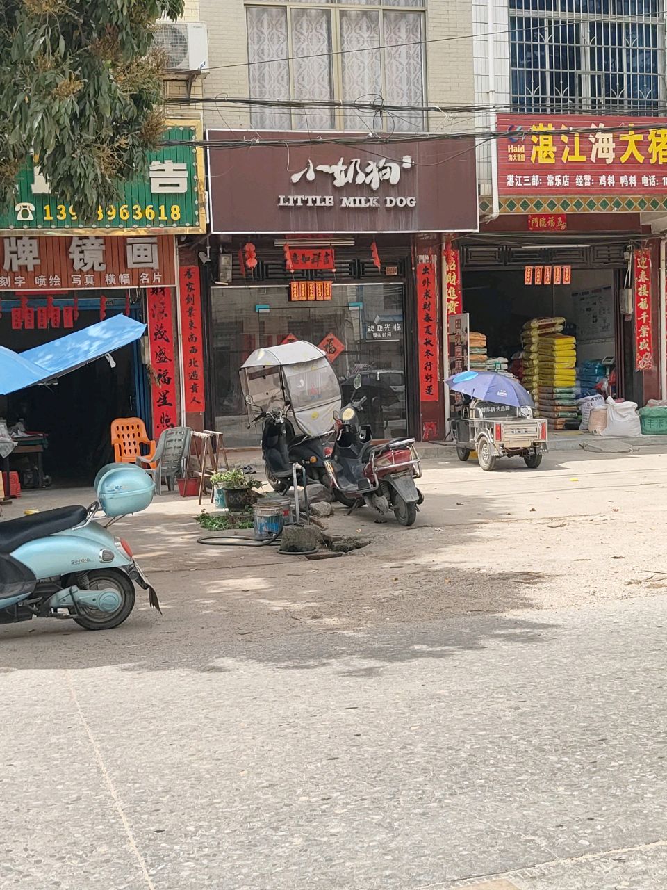 小奶狗