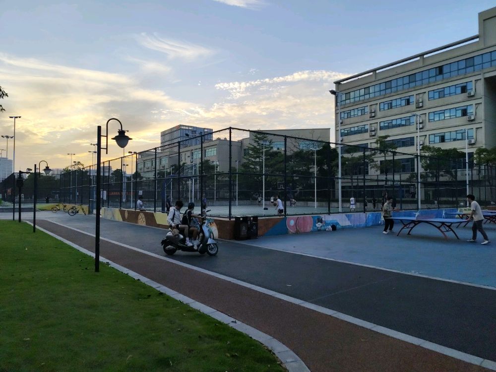 科技四路文体公园球场