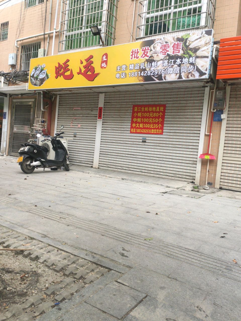 蚝运生蚝批发零售