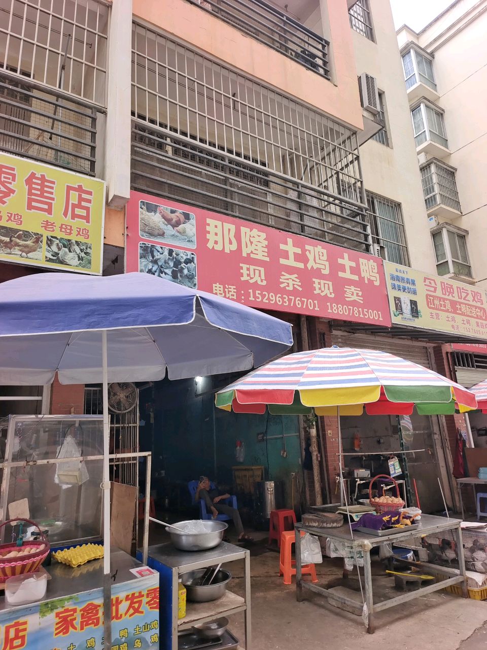 今晚吃鸡江州土鸡,土鸭配送中心