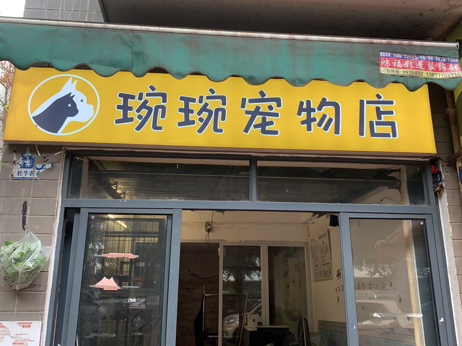琬琬宠物店