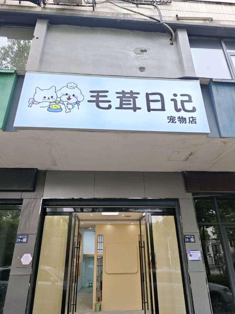 毛茸日记