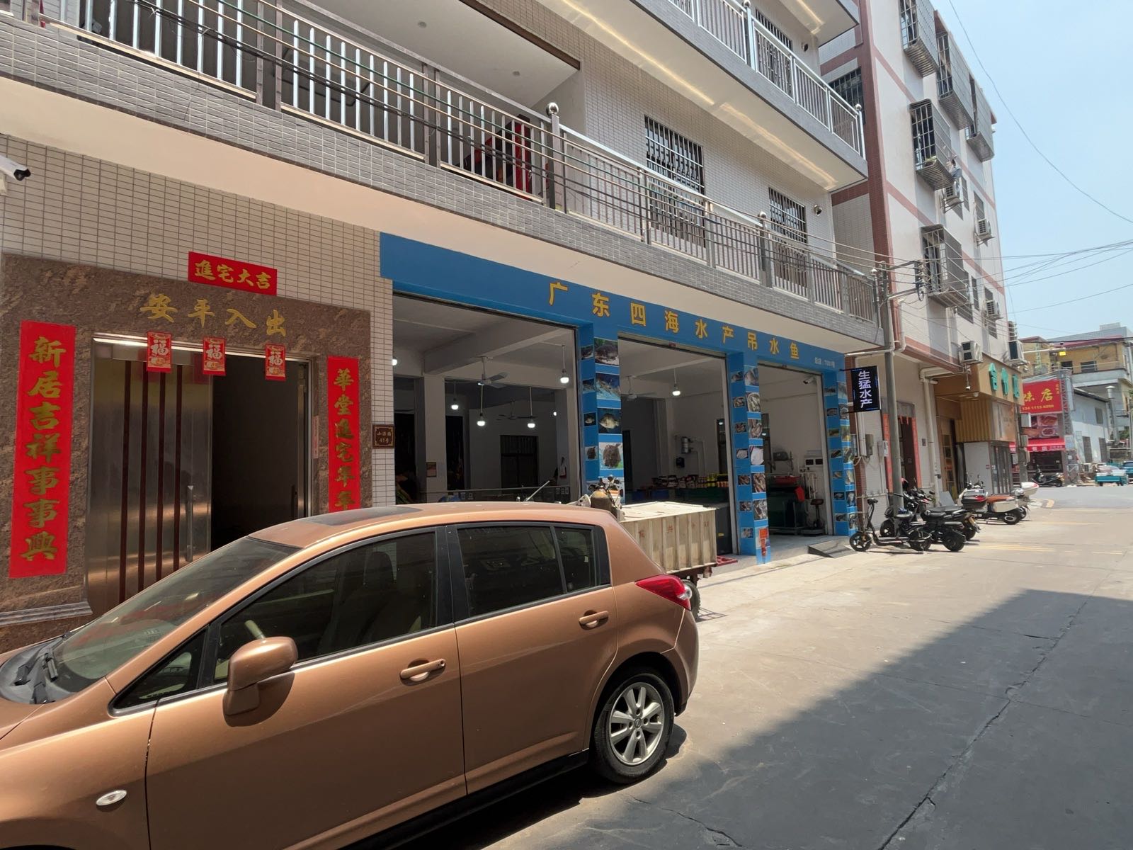 广东四海水产吊水鱼