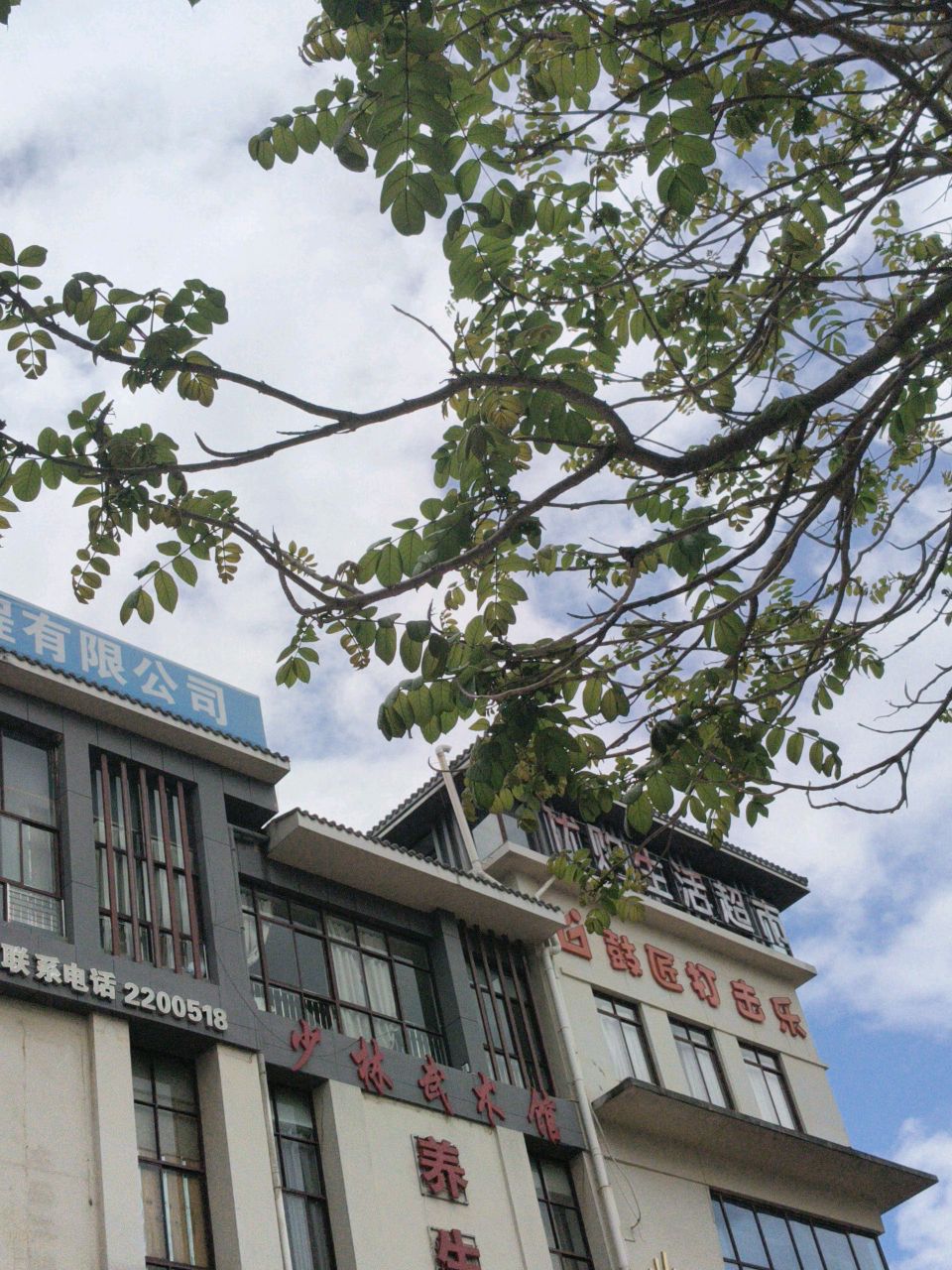 普洱少林武术(北部商业城店)