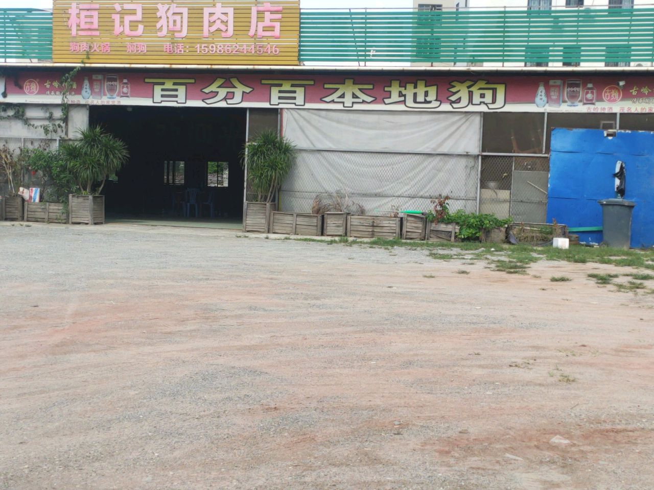 百分百本地狗