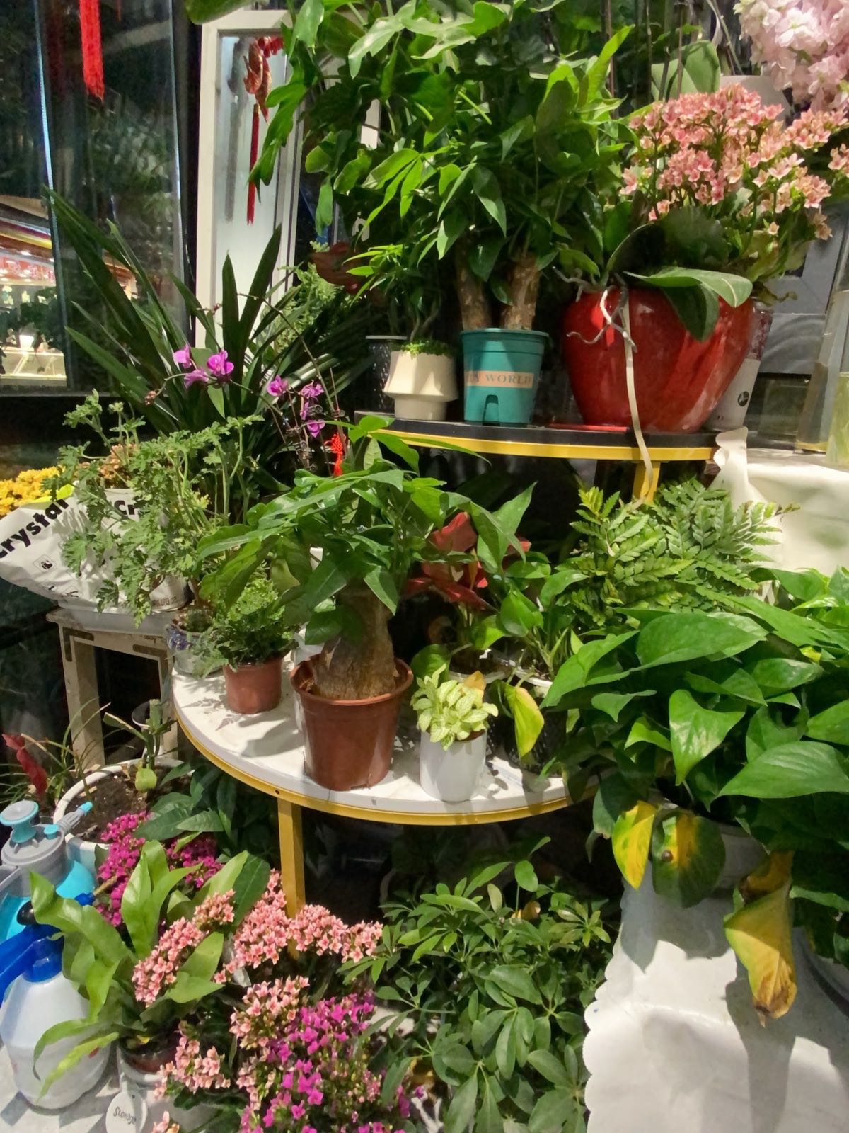 花禧田