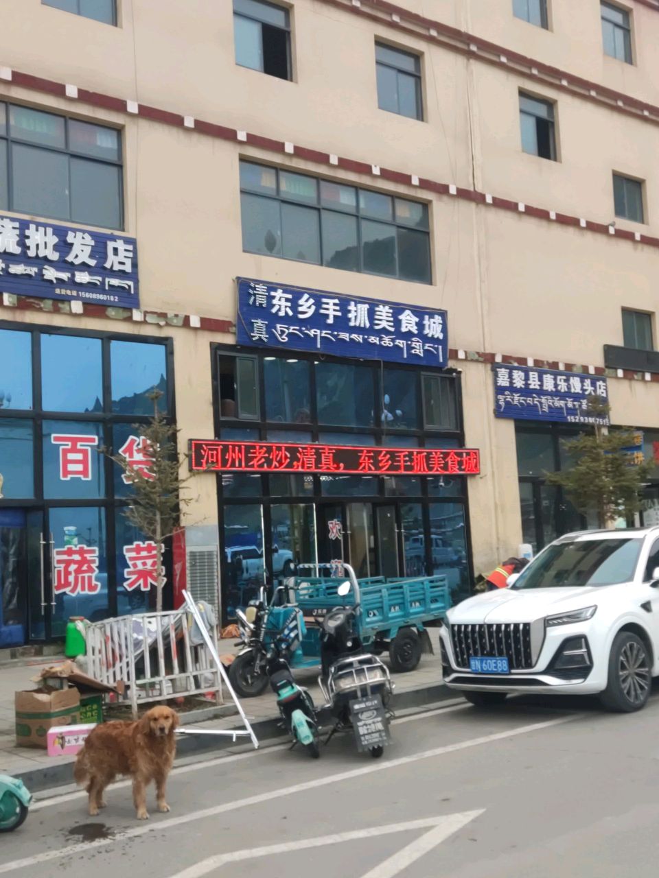 清真东乡手抓美食城(拉日第一安居苑店)