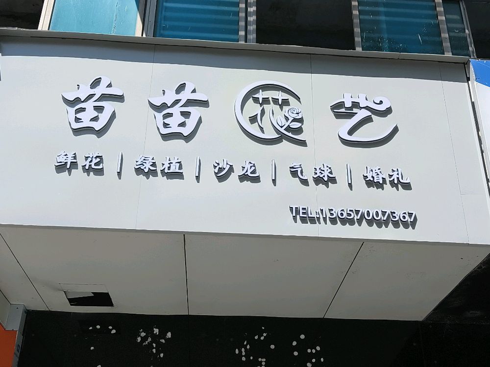 苗苗花艺