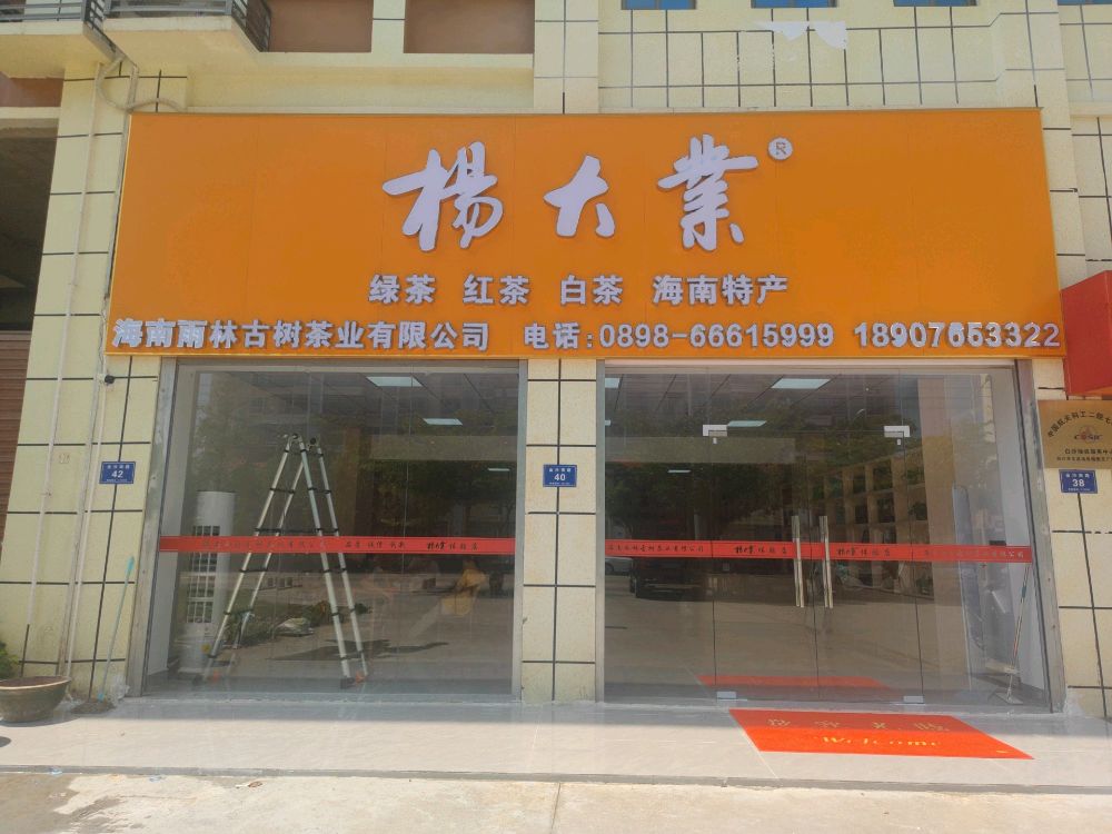 海南雨林古树茶业有限公司旗舰店