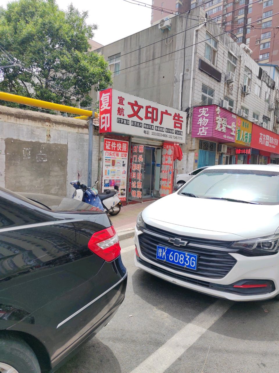 宠物店