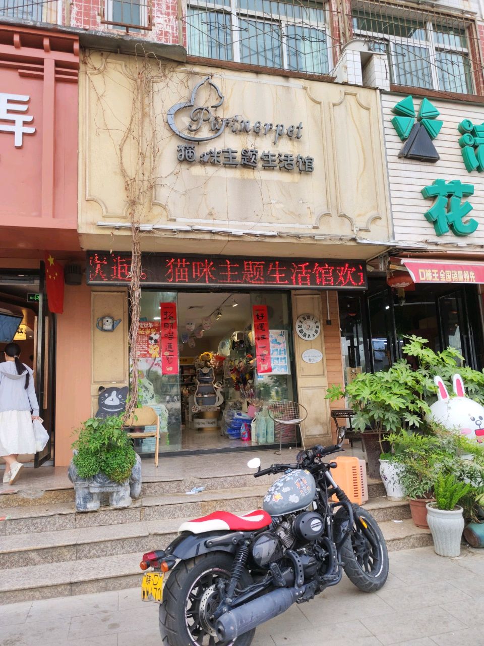 猫咪生活馆(陕西中医药大学东家属院店)