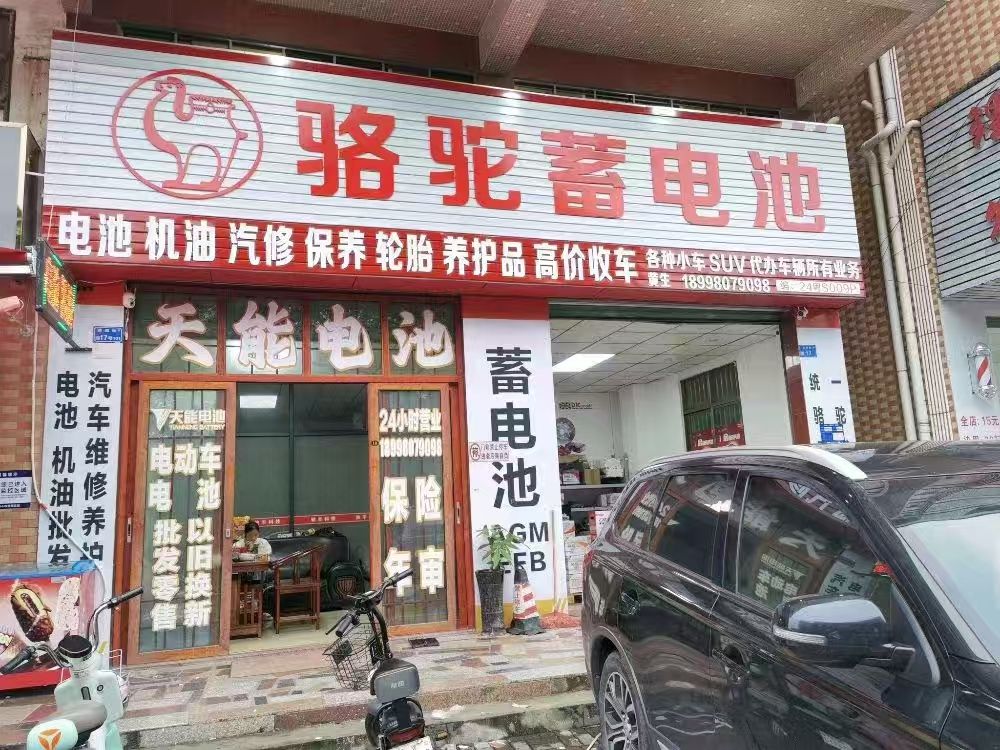 骆驼蓄电池(博浩坑口店)