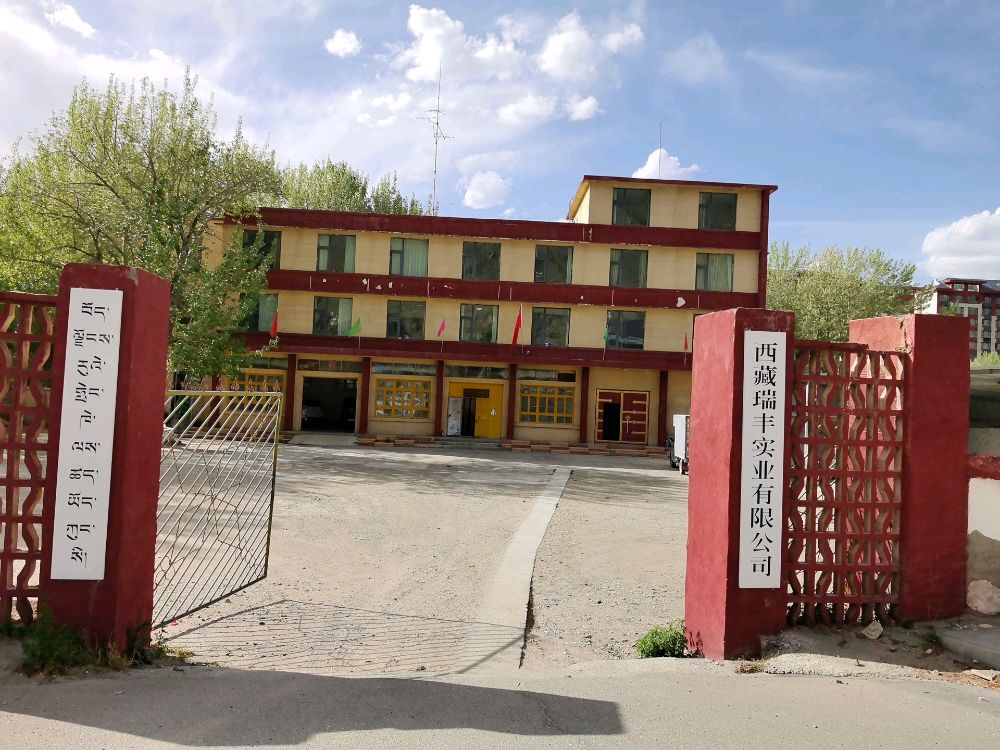西藏瑞丰实业有限公司