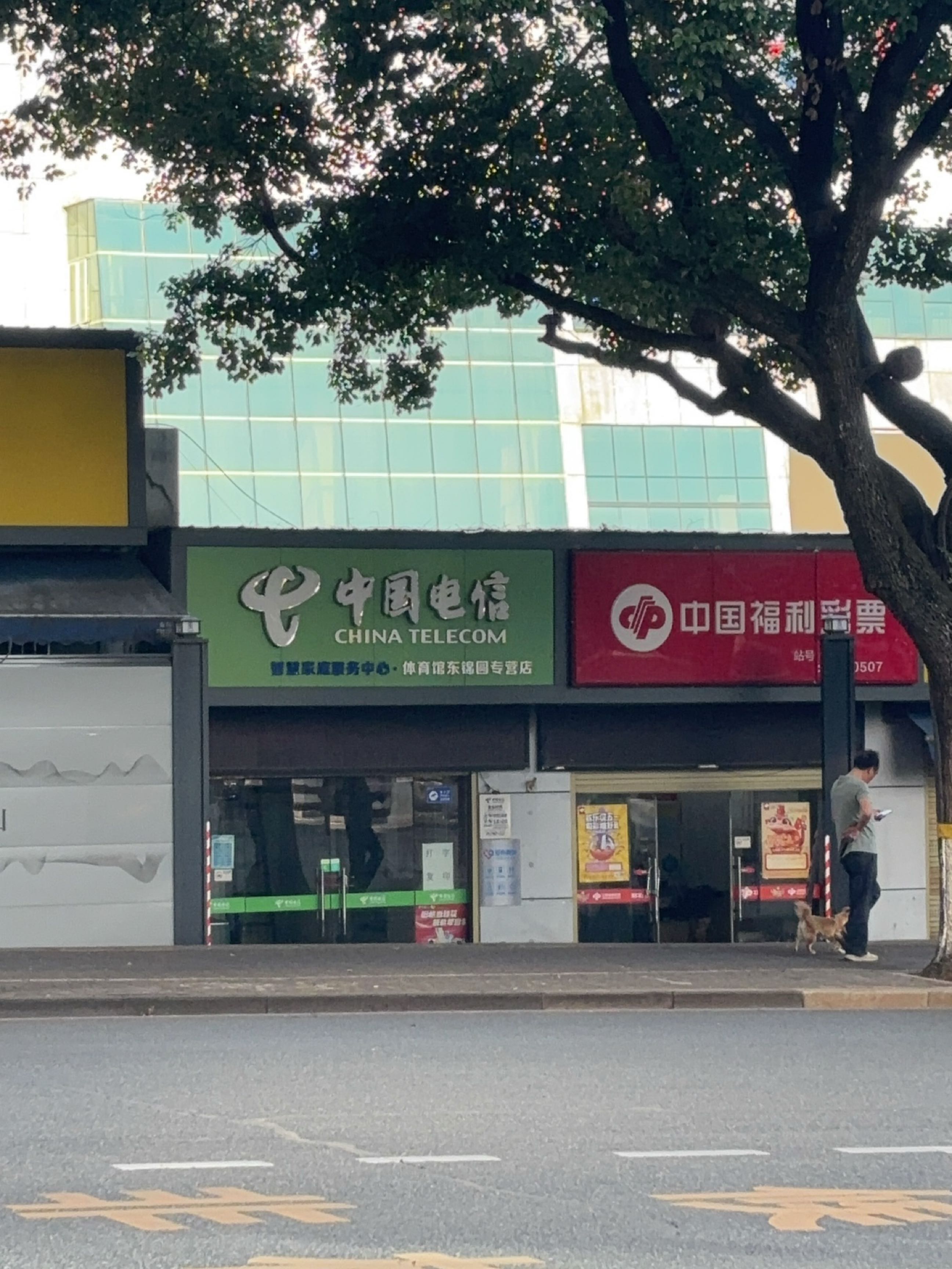 中国电信(体育场路店)