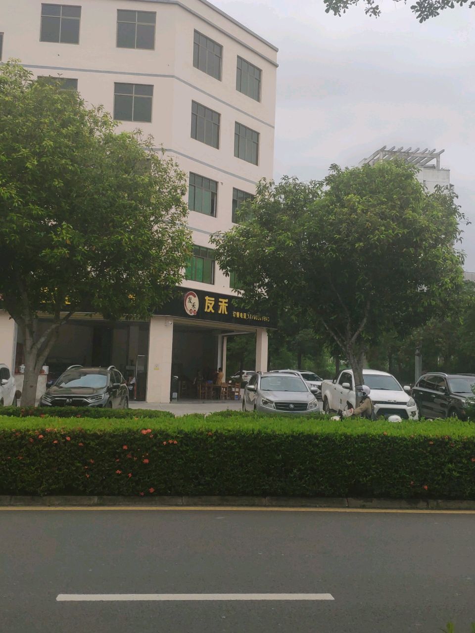 友禾