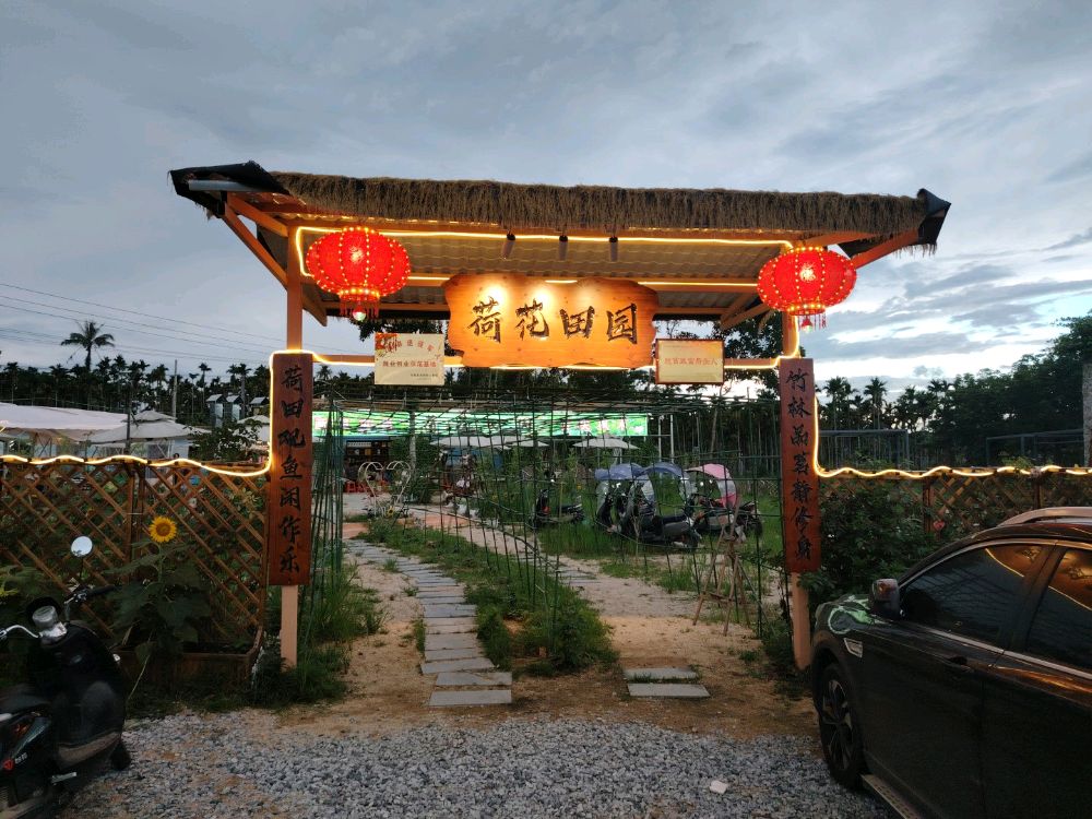荷花田园