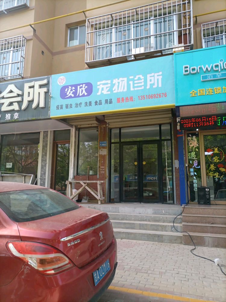 靖远安欣宠物诊所