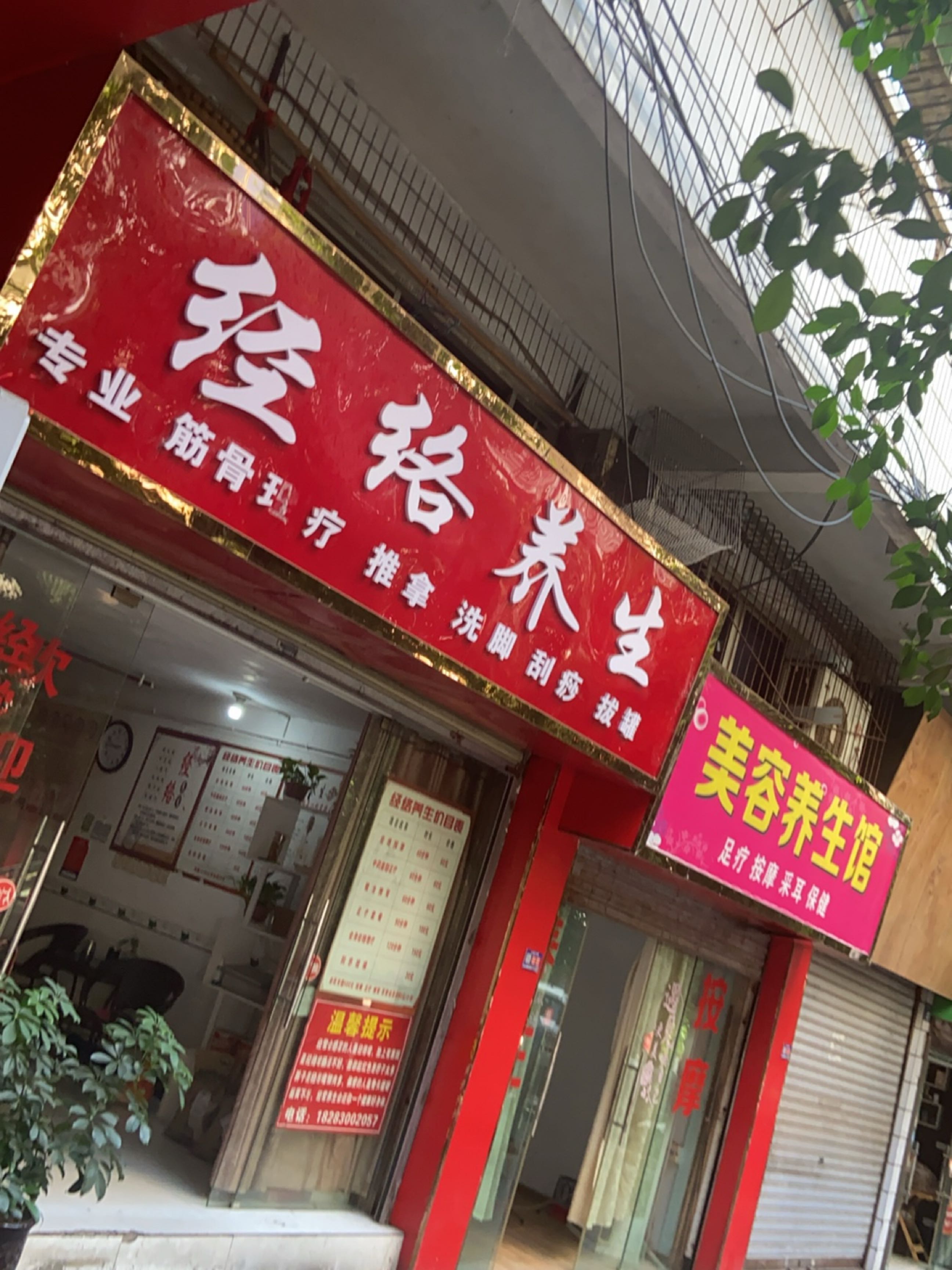 经络养生