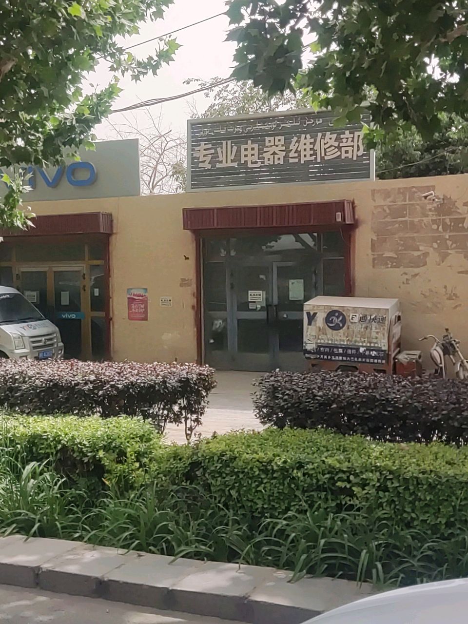 vivo
