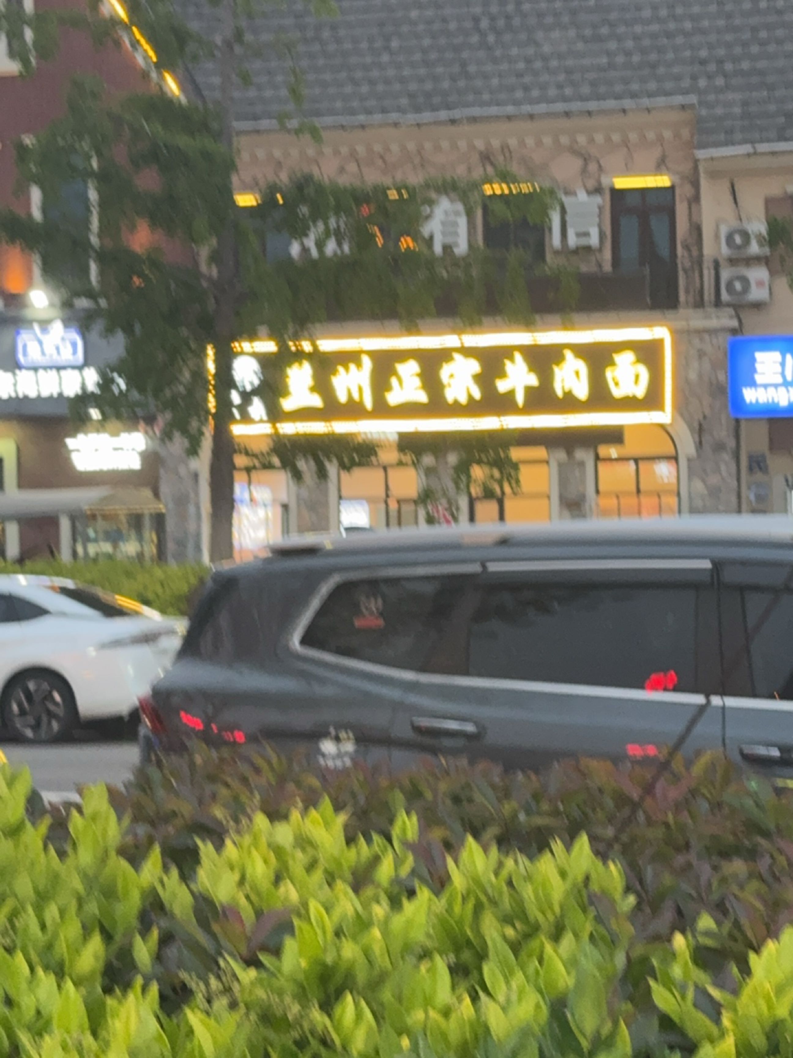 清真兰州正宗牛肉面(碧桂园店)