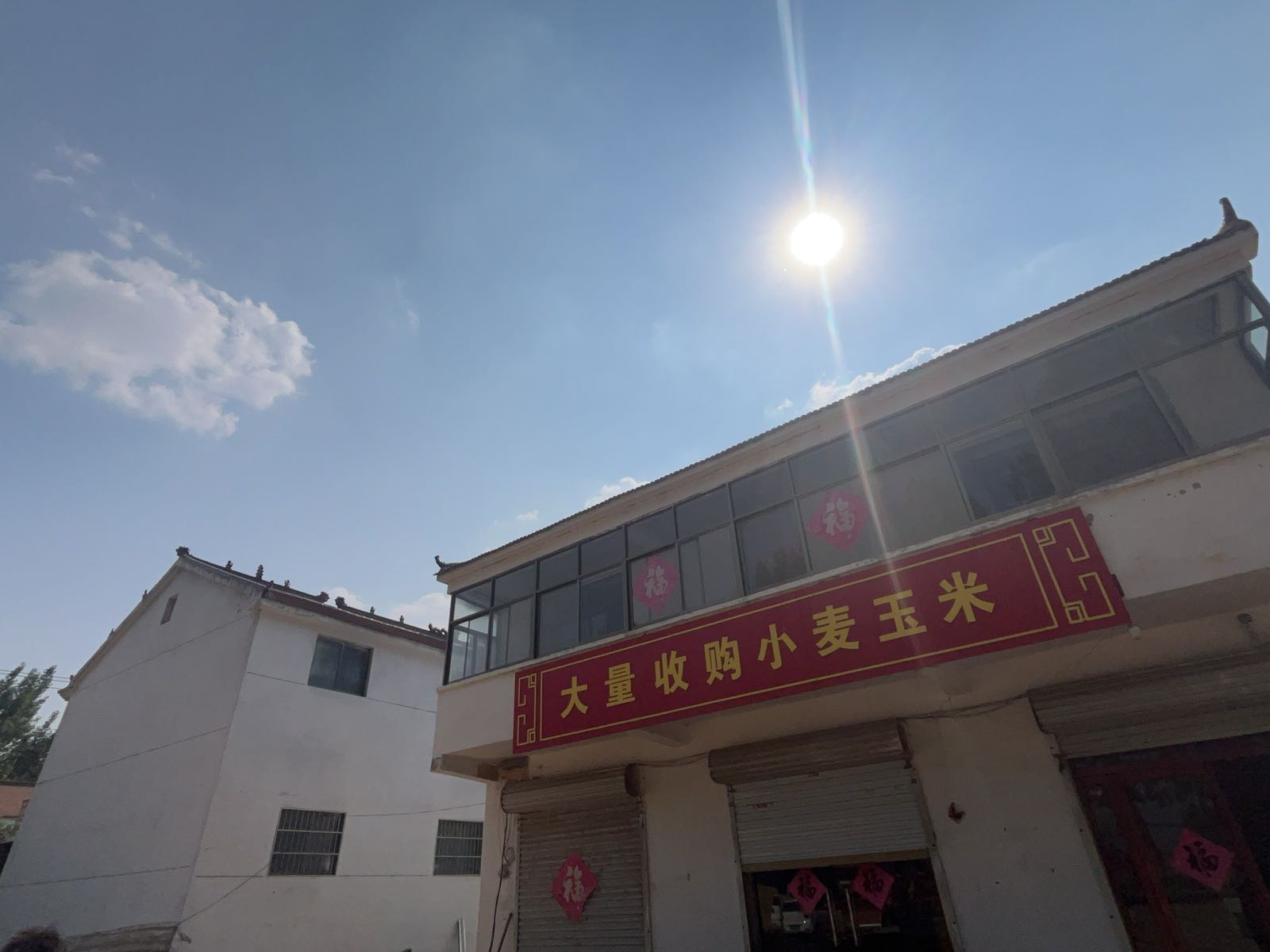 大量收购小麦玉米