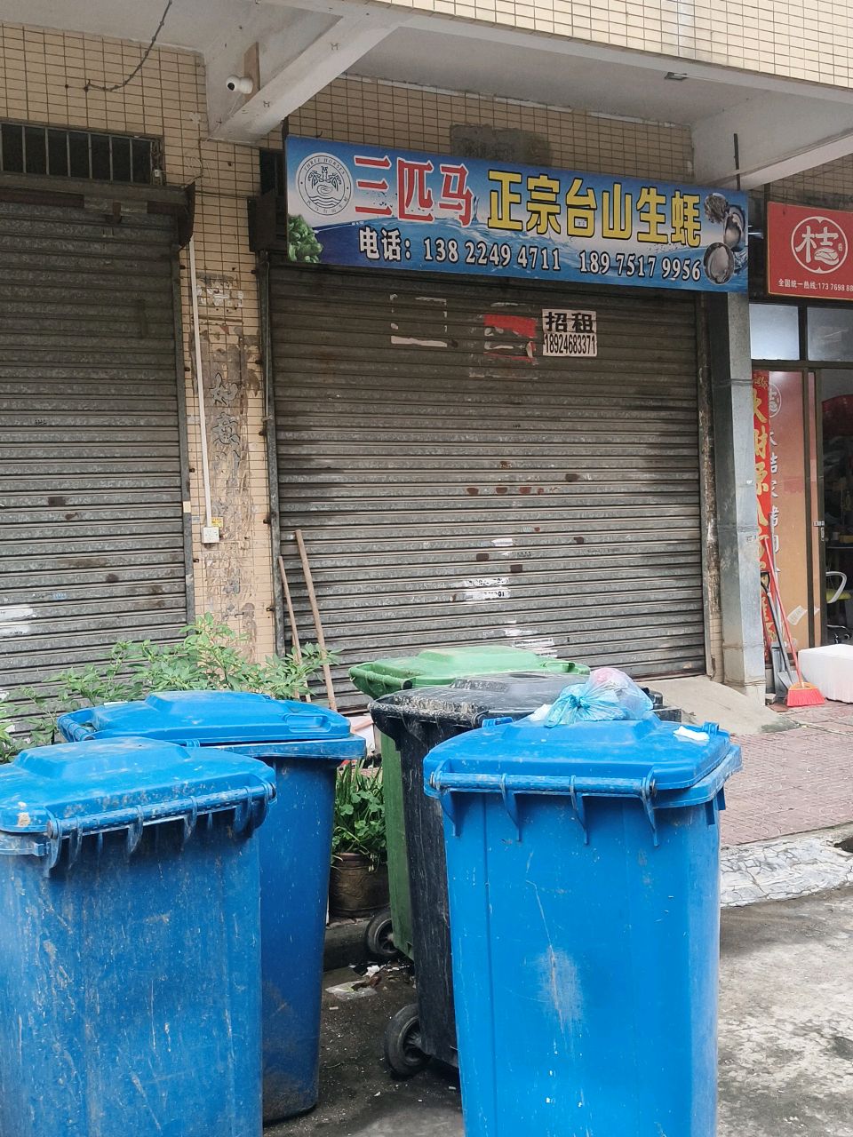 三匹马正宗台山生蚝(祥盛苑店)