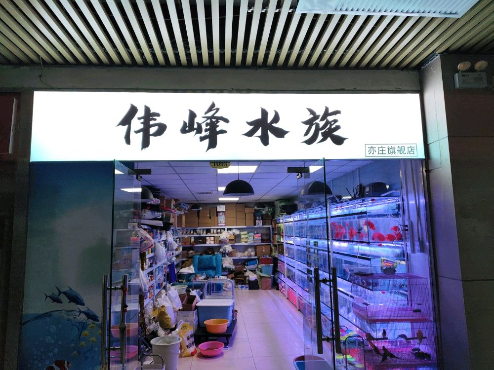 伟峰水族(亦庄旗舰店)