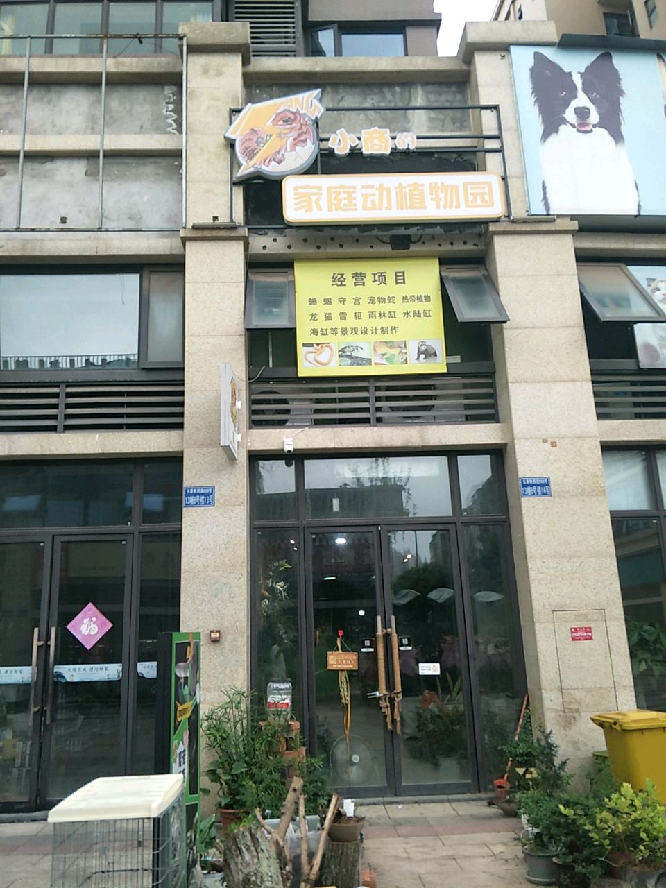 小商的家庭动植物园