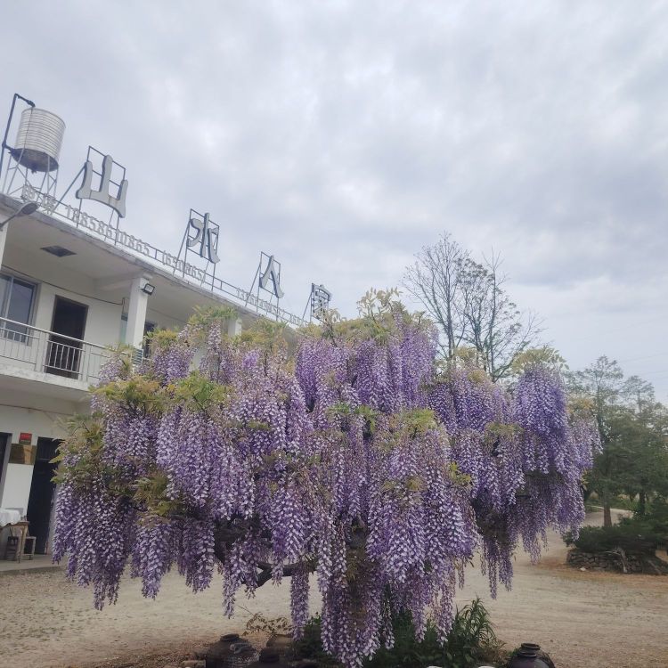 浙江省台州市天台县石梁镇山水人家