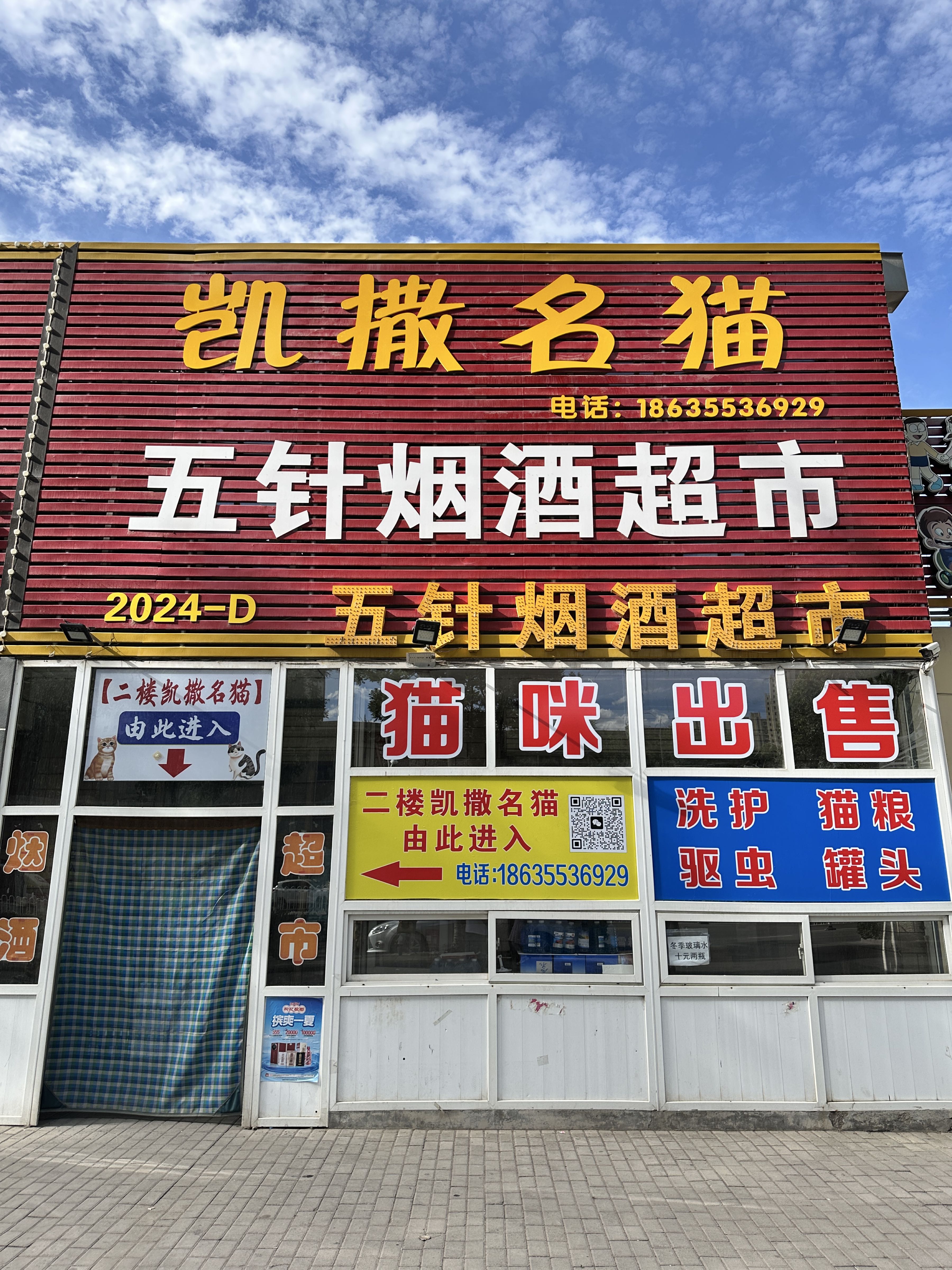 凯撒名猫