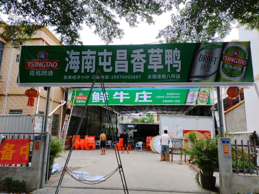 海南屯昌香草鸭(东府南路店)
