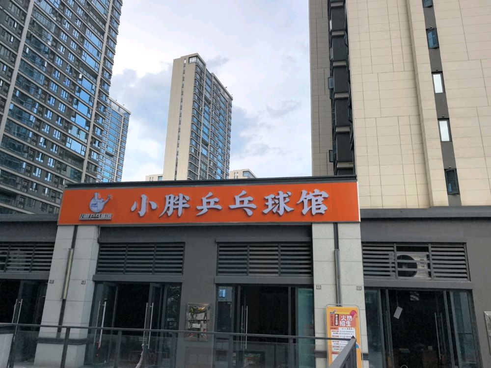 小胖乒乓球馆