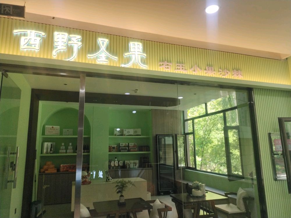 西野圣果