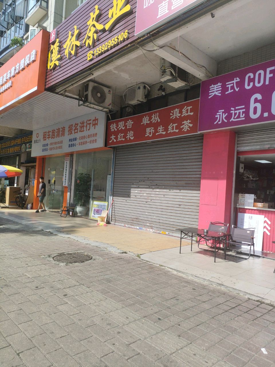 铁观音单枞滇红大红袍野生红茶