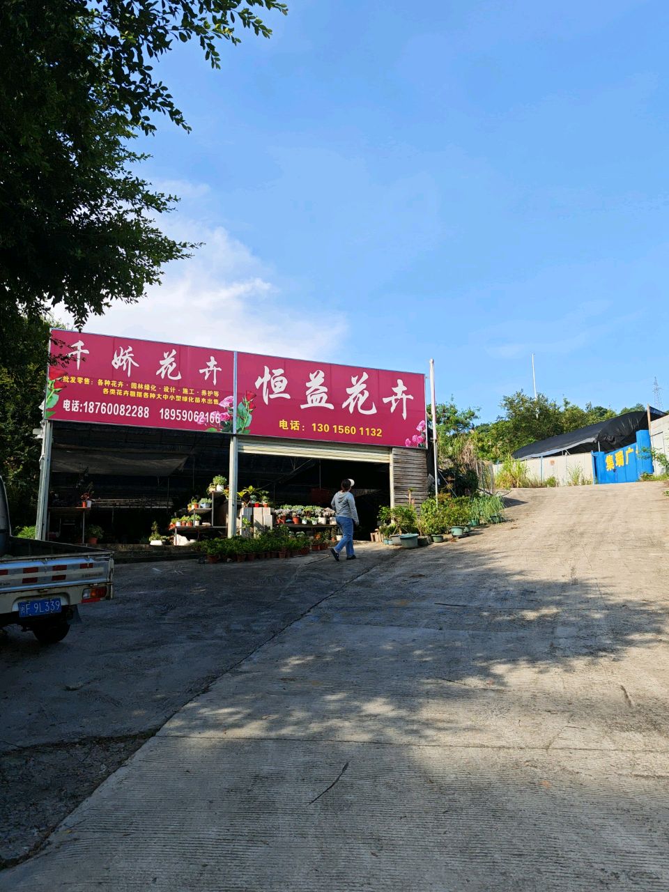 恒益花卉
