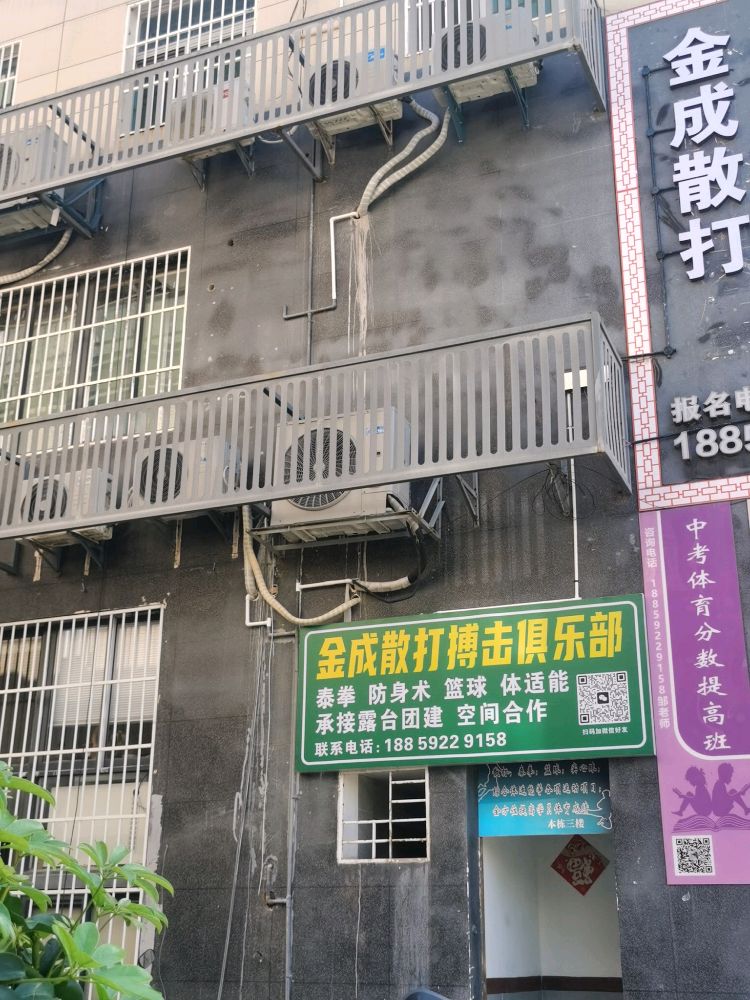 金成散打搏击俱乐部