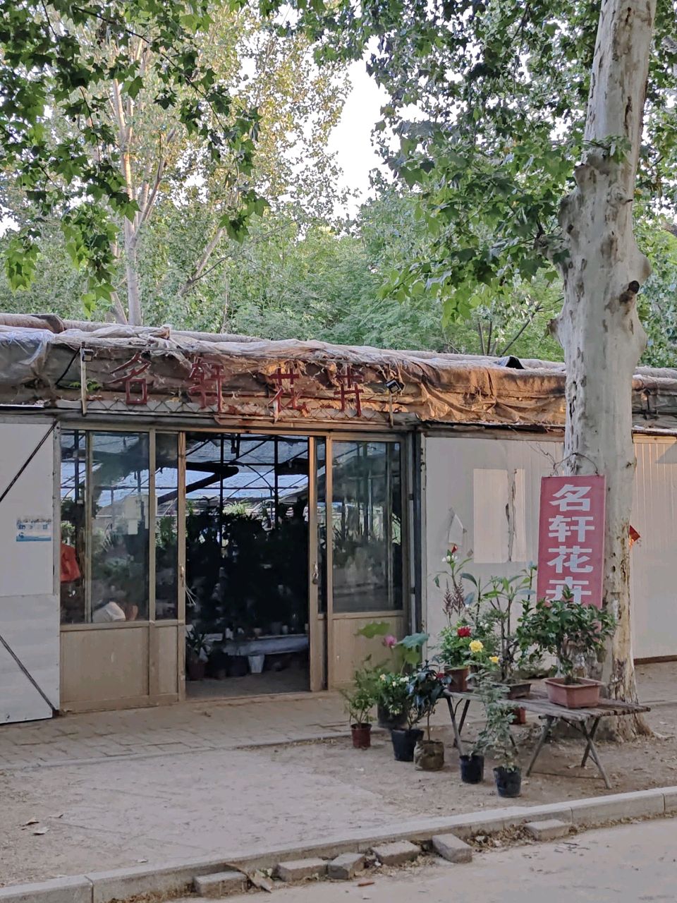 名轩花卉店