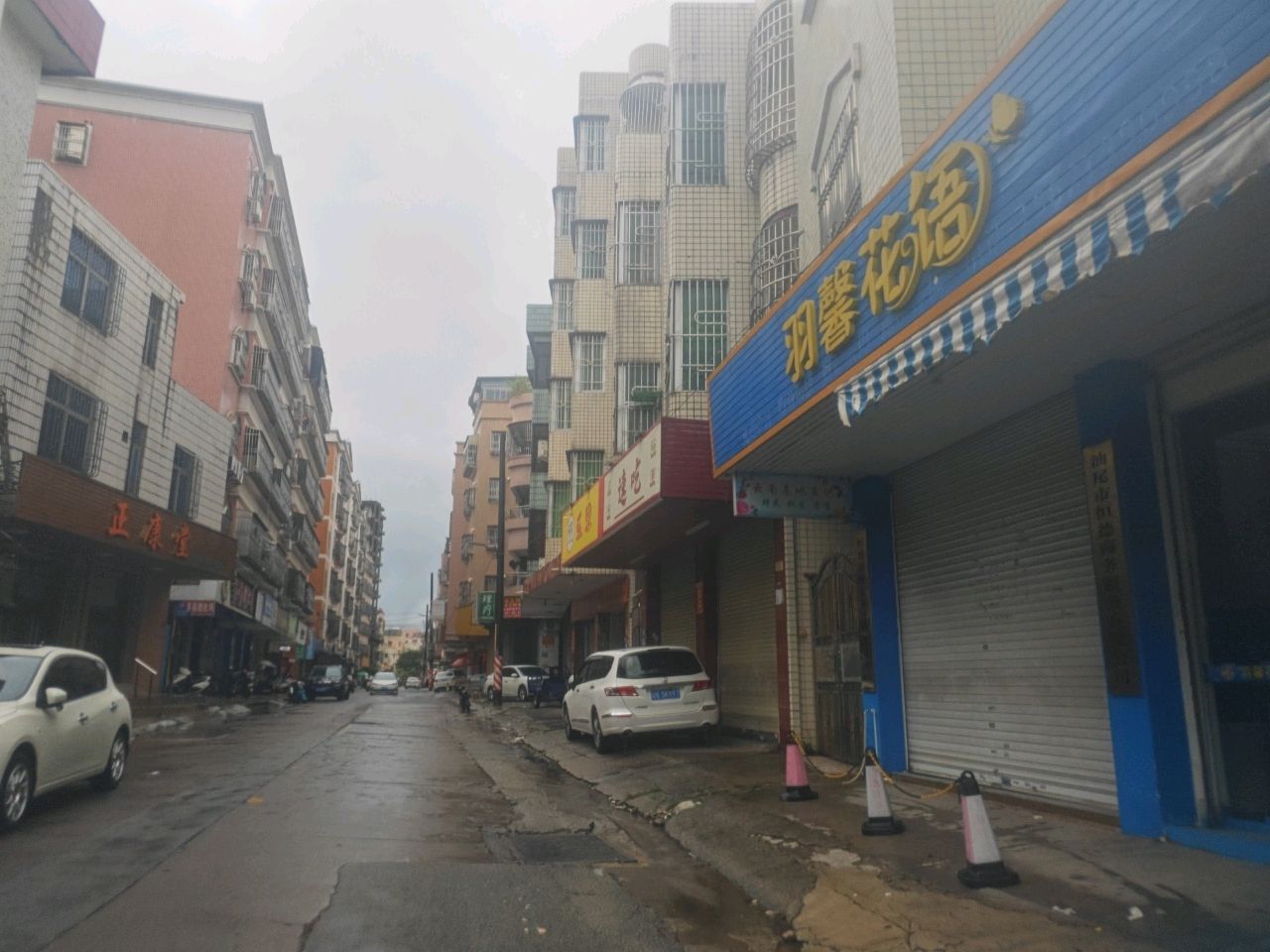 羽馨花语