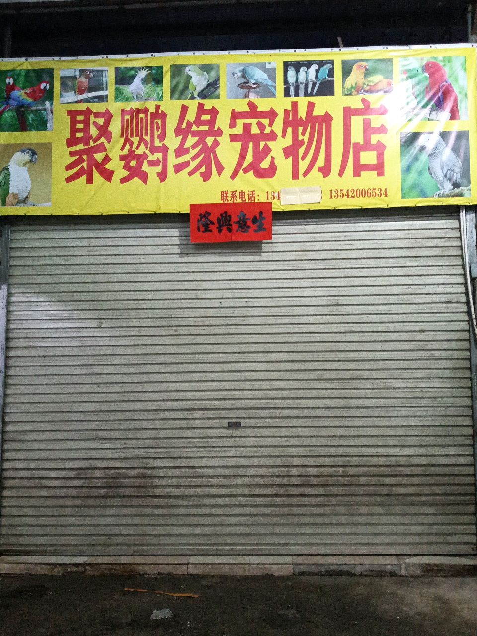 豪祥宠物店(只卖鹦鹉)