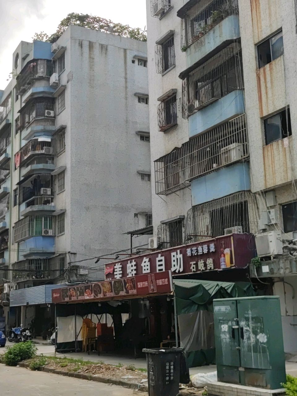 长乐村·美蛙鱼自助