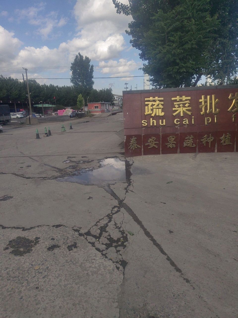 蔬菜批发市场(昌黎县引涞灌区管理处北店)