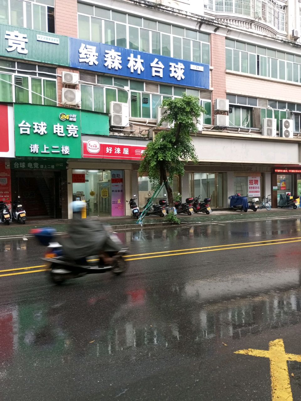 绿森林台球