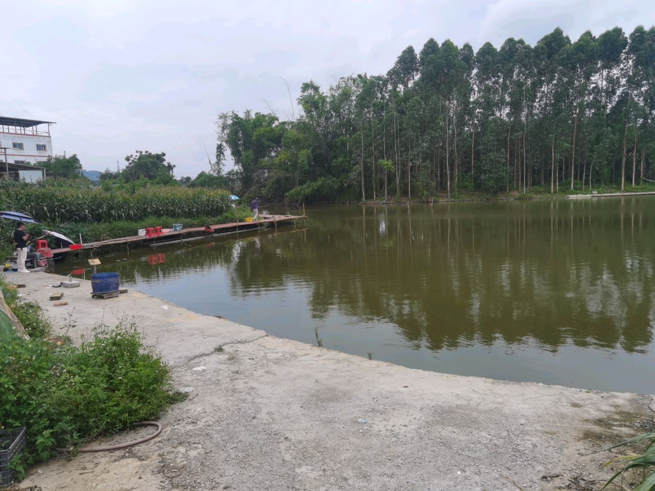 强盛垂钓娱乐场